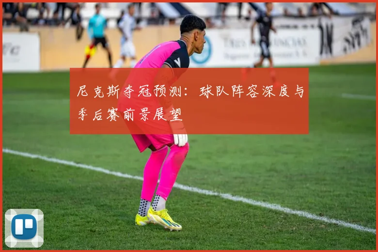 尼克斯夺冠预测:球队阵容深度与季后赛前景展望